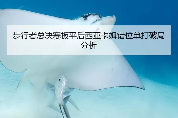 bu-xing-zhe-zong-jue-sai-ban-ping-hou-xi-ya-ka-mu-cuo-wei-dan-da-po-ju-fen-xi-2-464.jpg